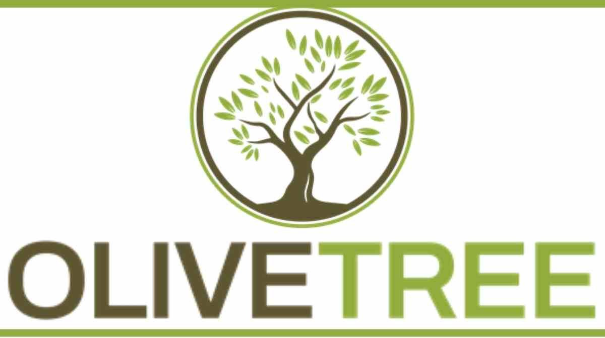 Olive Tree