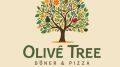 Olive Tree